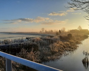 20210125_091535